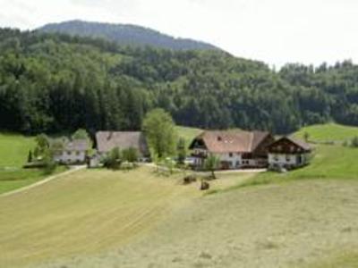 фото отеля Wohlfuhlbauernhof Bambichlgut Farmhouse Fuschl am See