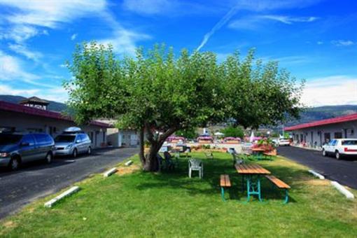 фото отеля Apple Tree Inn Penticton
