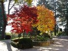 фото отеля Locanda del Biancospino