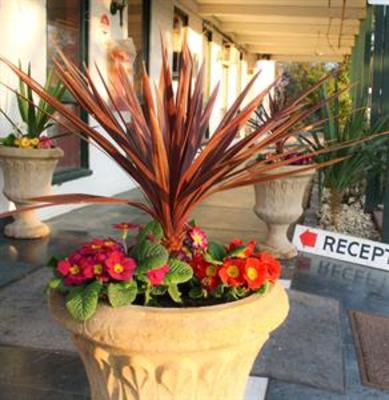 фото отеля Rose City Motor Inn