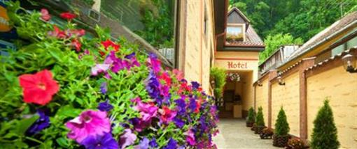 фото отеля Hotel Restaurant Claudiu