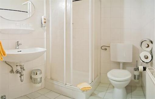 фото отеля Center Hotel Zwickau Mosel