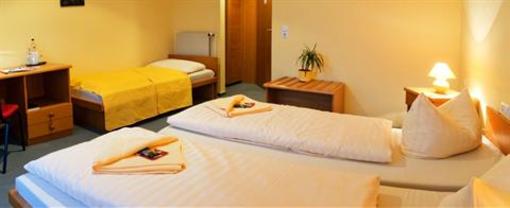 фото отеля Center Hotel Zwickau Mosel