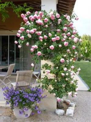 фото отеля Chez Soi en Luberon