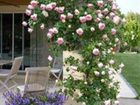 фото отеля Chez Soi en Luberon