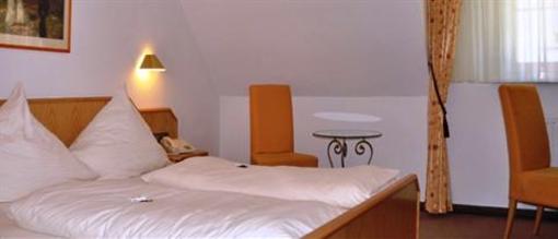 фото отеля Hotel & Restaurant Dreikönig Hagnau am Bodensee