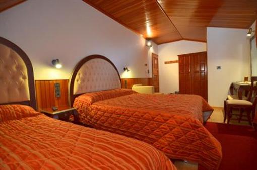 фото отеля Apollon Hotel Metsovo