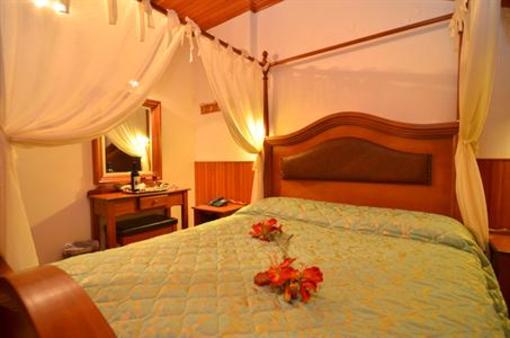 фото отеля Apollon Hotel Metsovo