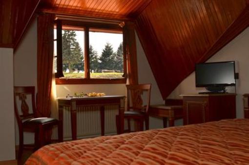 фото отеля Apollon Hotel Metsovo