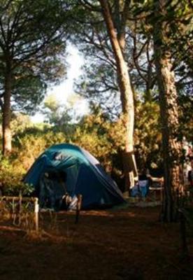 фото отеля Camping Maremma Sans Souci