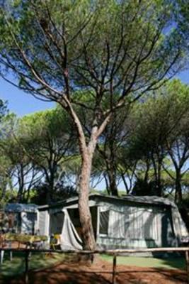 фото отеля Camping Maremma Sans Souci