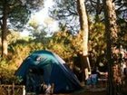 фото отеля Camping Maremma Sans Souci