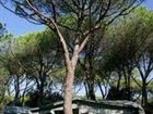 фото отеля Camping Maremma Sans Souci