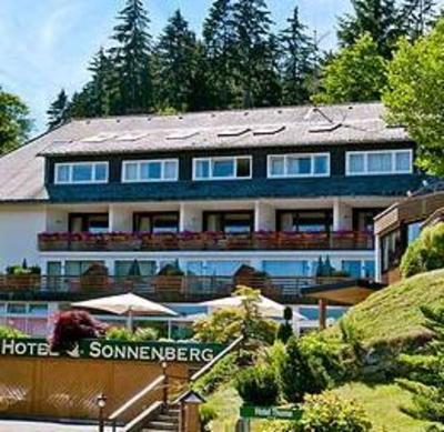 фото отеля Hotel Sonnenberg Hinterzarten