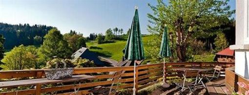фото отеля Hotel Sonnenberg Hinterzarten