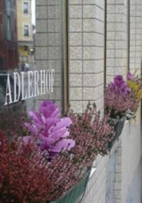 фото отеля Pension Adlerhof