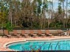 фото отеля Hilton Garden Inn Fort Myers Airport / FGCU