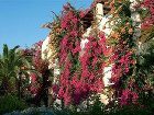 фото отеля Creta Royal Hotel