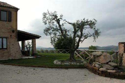 фото отеля Agriturismo San Michele