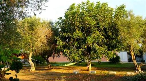фото отеля Li Catauri B&B