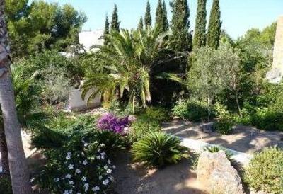 фото отеля La Palmera Ibiza