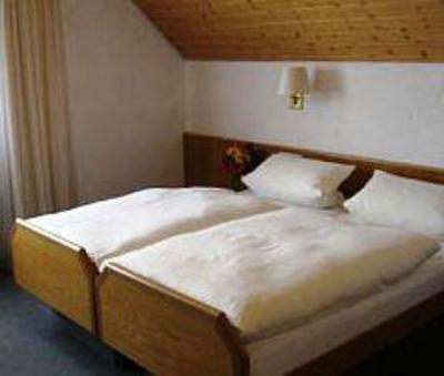 фото отеля Landgasthof Lowen Hotel Rottenburg-Dettingen