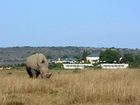 фото отеля Shamwari Long Lee Manor Port Elizabeth