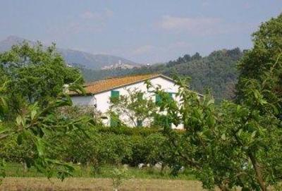 фото отеля Agriturismo Da Pio