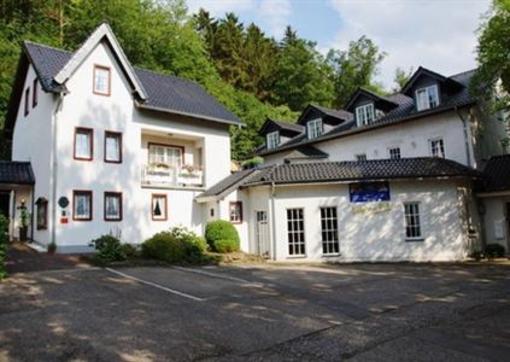 фото отеля Landgasthaus Steinsmühle Hotel Bad Muenstereifel