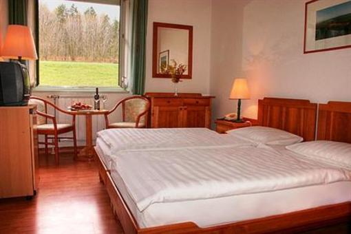 фото отеля Hotel Szepalma
