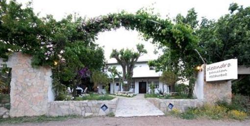 фото отеля Oleander Pension