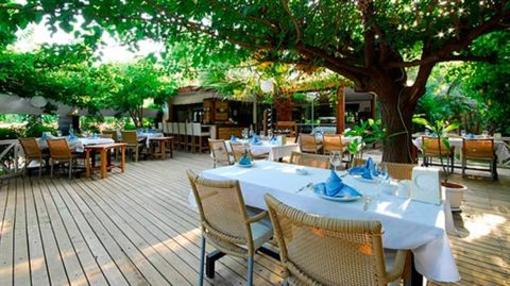 фото отеля Oleander Pension