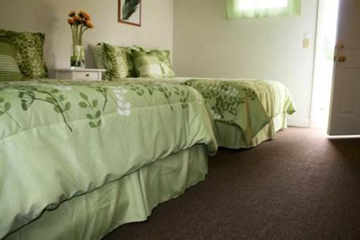 фото отеля White Anchor Inn