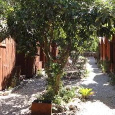 фото отеля Olympos Divasa Pansiyon
