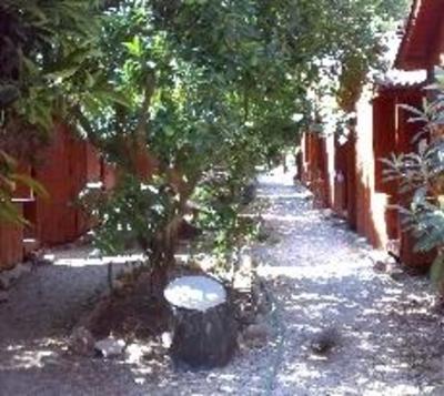 фото отеля Olympos Divasa Pansiyon