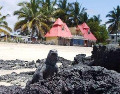 фото отеля Cormorant Beach House