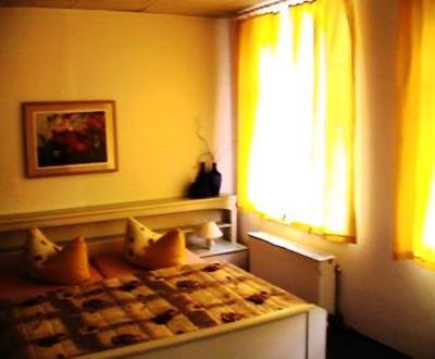 фото отеля Hotel garni An der Elster