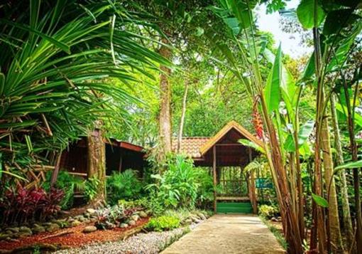 фото отеля Pachira Lodge Tortuguero