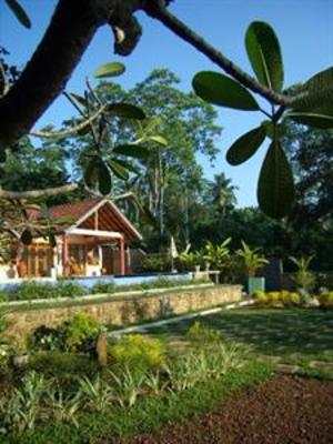 фото отеля Lazy Lizard Hotel Galle