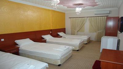фото отеля Hotel Demirdag