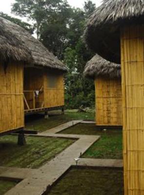 фото отеля Amazon Dolphin Lodge