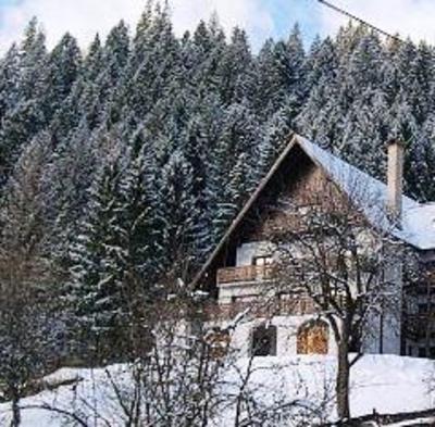 фото отеля Bucovina Lodge Pension Vama