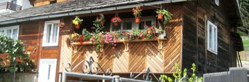 фото отеля Bucovina Lodge Pension Vama