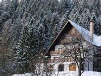 Bucovina Lodge Pension Vama