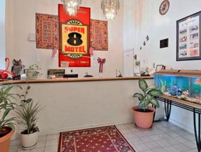 фото отеля Super 8 Motel Darien (Georgia)