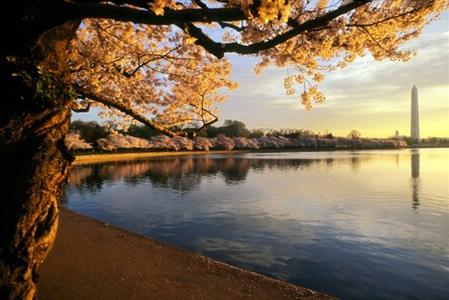 фото отеля Hampton Inn & Suites Washington-Dulles International Airport