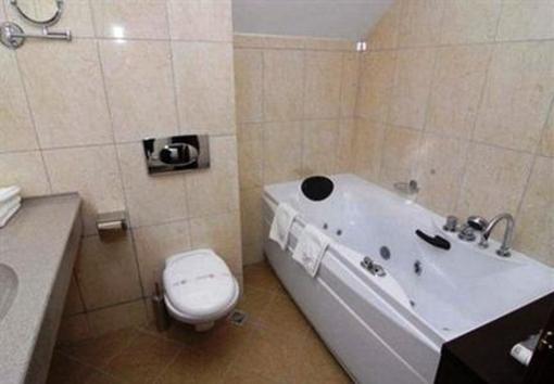 фото отеля Casa Iris Hotel Sinaia