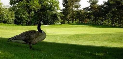 фото отеля Telford Hotel & Golf Resort