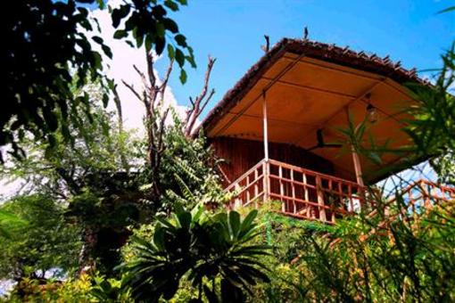 фото отеля The Tree House Resort