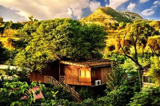 фото отеля The Tree House Resort